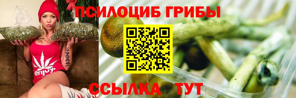 Галлюциногенные грибы мицелий  Псилоцибиновые грибы MAGIC MUSHROOMS  цены   Вход с VPN  Фурманов 